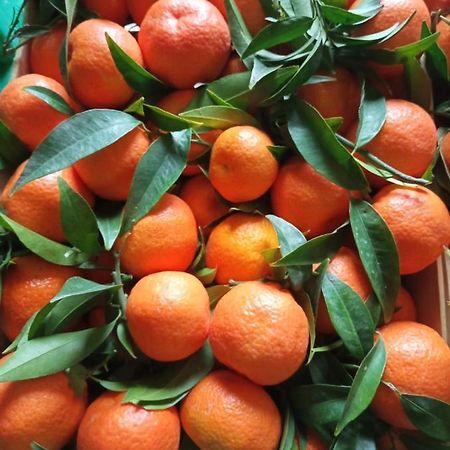 Appartamento Casa Da Carmine A Tursi Esterno foto